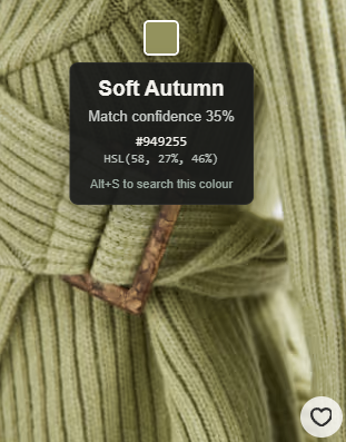 Mindfully Fashionable colour analysis identifying a garment as Soft Autumn